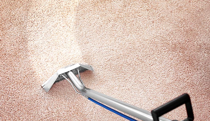 Professional carpet cleaning