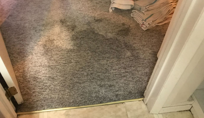 Carpet stain and water damage