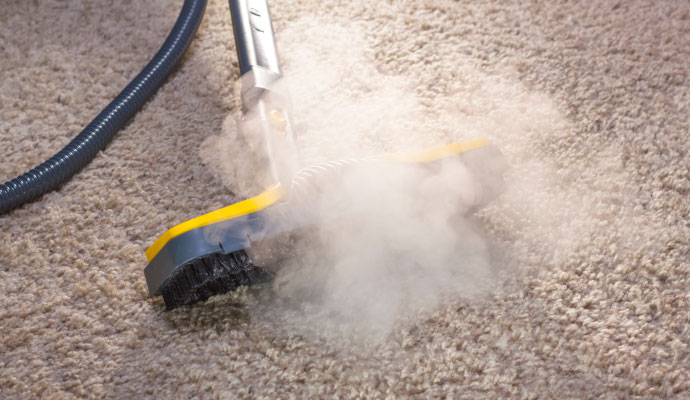 Carpet steam cleaning service