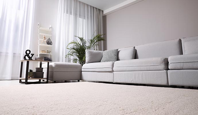 Clean carpet in a living room