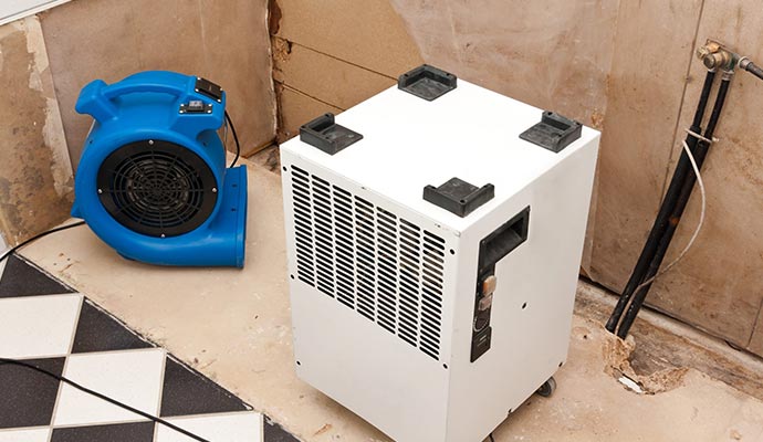 Water damage cleanup service