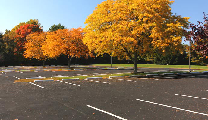 Empty parking lot with white stall lines surrounded by vibrant autumn trees