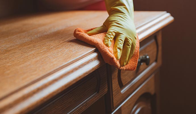Professional worker cleaning furniture