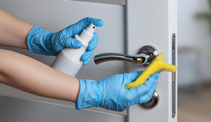 Professional cleaner cleaning door handle