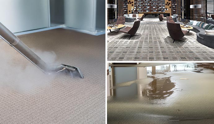 Collage of carpet hot water extraction, clean carpet in high traffic area and water damaged carpet