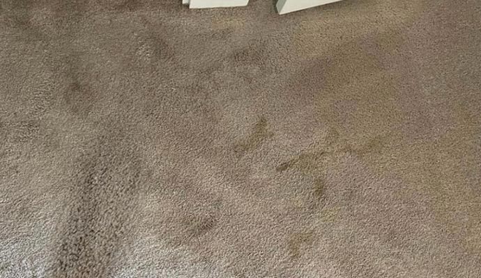 Damaged carpet
