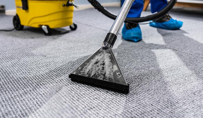 Professional carpet cleaning service
