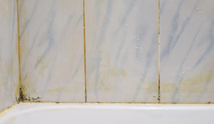 Mold on grout