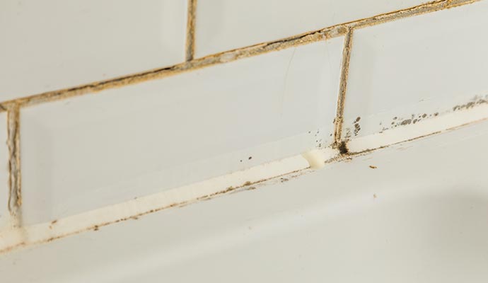 Moldy Grout Cleaning in Midland and Odessa
