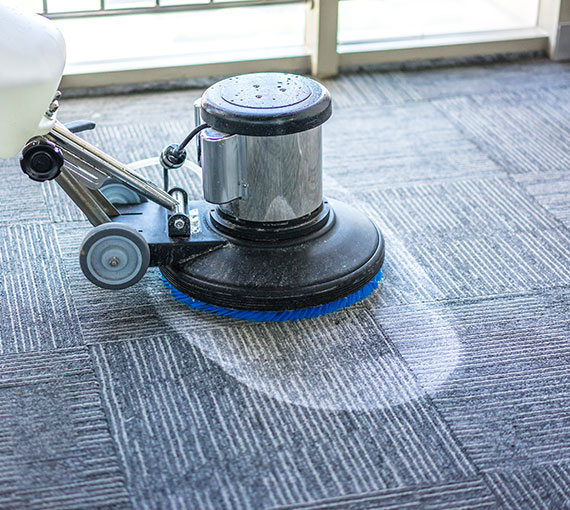 Professional carpet cleaning