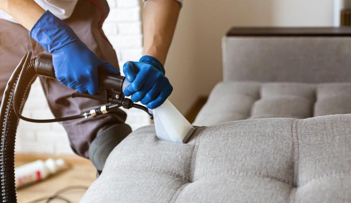 Professional sofa cleaning